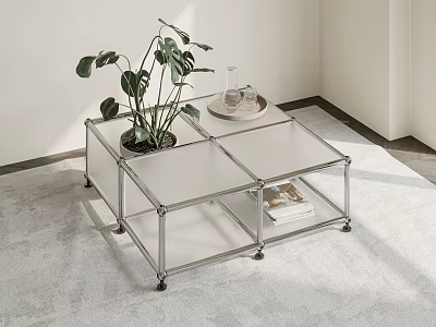 Modern Coffee Table With Transparent Glass Top Chrome Frame Green Plant Tray And Books 3d model