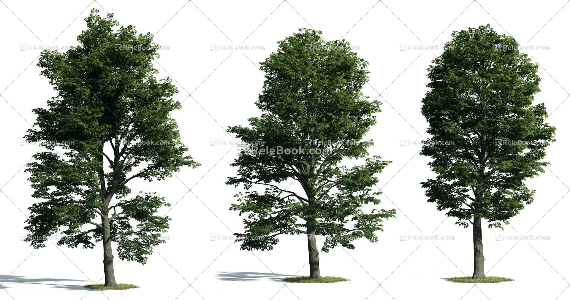 The Modern Tree 3d model