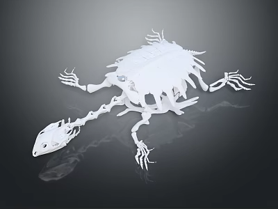 White Turtle Like Anatomical Organ And Hair Structure With Spiky Hair Projections 3d model