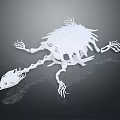 White Turtle Like Anatomical Organ And Hair Structure With Spiky Hair Projections