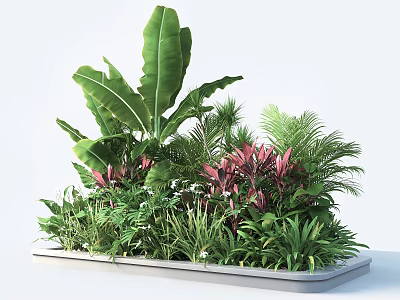 Lush Green Plant Arrangement With Tropical Leaves And Pink Foliage In Planter 3d model