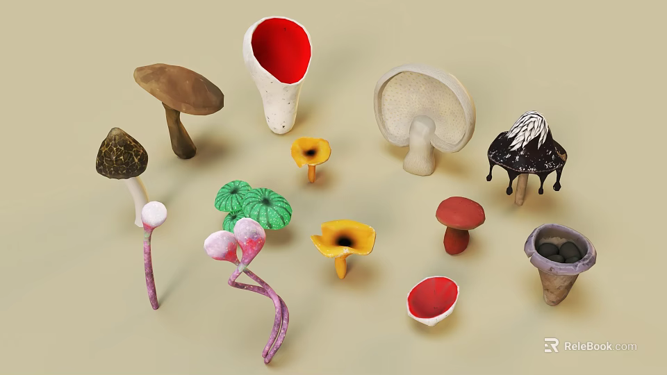 Colorful Succulent Plants with Diverse Shapes and Vibrant Hues for Indoor Decoration 3d model 