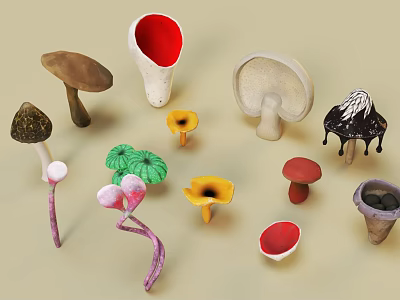 Colorful Succulent Plants with Diverse Shapes and Vibrant Hues for Indoor Decoration 3d model