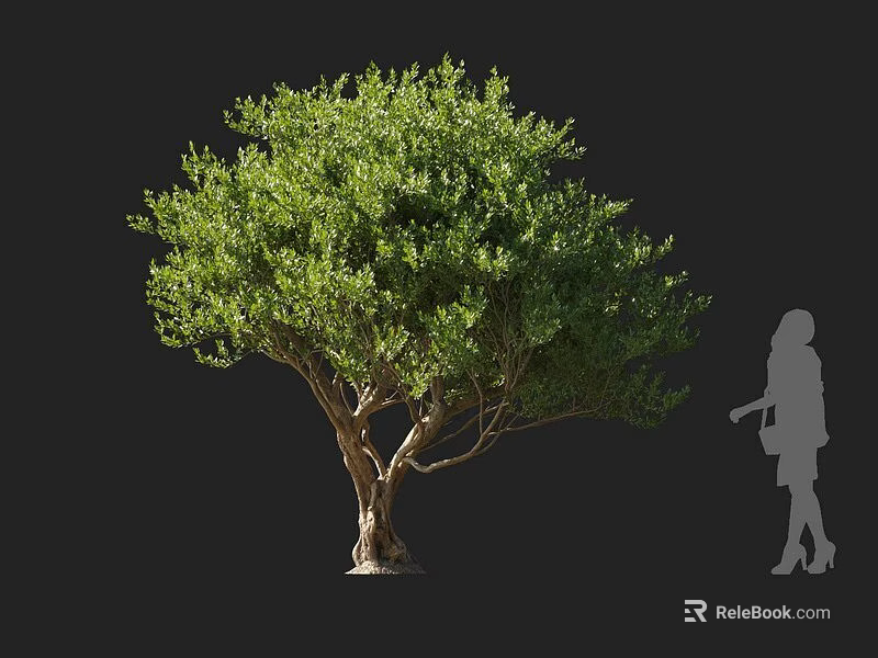Lush Green Shrub With Dense Foliage And Human Silhouette For Size Comparison 3d model