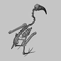 Close Up View Of Bird Skeleton With Long Beak And Vertebrae Structure