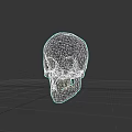 White Human Skull Anatomical Model With Black Background And Detailed Structure