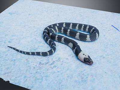 Modern Snake Water Abdominal Snake Sea Snake Cobra 3d model