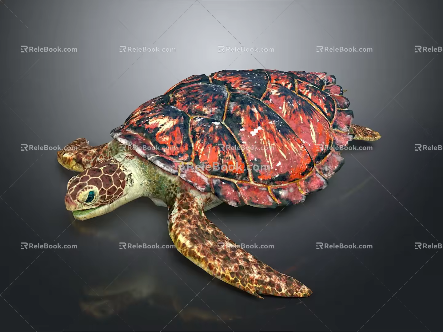 Turtle Cartoon Turtle Snapping Turtle Chickbill Turtle Reptile Cold Blooded Animal Reptile Class 3d model