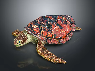 Reptile Sea Turtle Showcasing Vibrant Red And Black Shell In Natural Posture 3d model Reptile Sea Turtle Showcasing Vibrant Red And Black Shell In Natural Posture 3d model