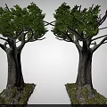 Two Symmetrical Arbor Trees With Textured Trunks Green Foliage And Mossy Bases