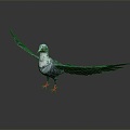 Modern carrier pigeon food pigeon play pigeon racing pigeon racing 3d model