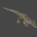 Realistic Reptile Tyrannosaurus Rex Dinosaur Model With Open Mouth Sharp Teeth And Detailed Skin Texture