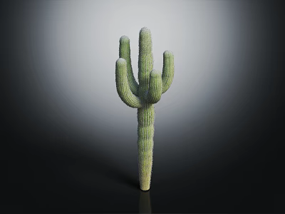 Green Cactus Plant With Textured Arms Standing On Dark Background 3d model