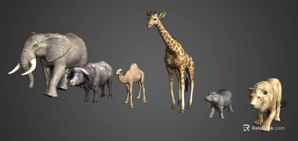 Various Reptile Species Models On Display With Natural Habitat Details 3d model 