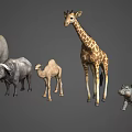 Various Reptile Species Models On Display With Natural Habitat Details
