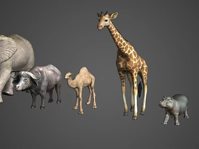 African Wildlife Modern Animals 3d model