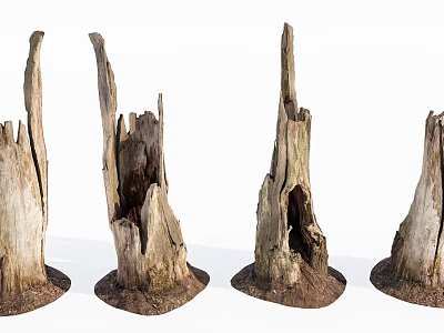 Rustic Wood Stumps With Natural Stone Bases As Decorative Garden Elements 3d model