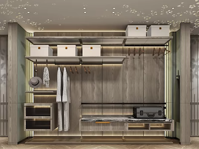 Modern Walk In Closet Interior With Wooden Cabinets And Storage Boxes 3d model