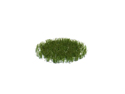 Lush Green Grass Lawn With Natural Round Shape And Fresh Green Appearance 3d model