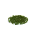 Lush Green Grass Lawn With Natural Round Shape And Fresh Green Appearance