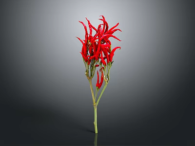 Decorative Red Chili Peppers With Green Stems On Grey Background For Home Use 3d model