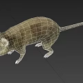 Realistic Brown Rat Standing On Gray Background With Detailed Fur And Tail