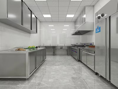 Commercial Kitchen Interior Featuring Stainless Steel Cabinets Worktables Sinks And Range Hood 3d model