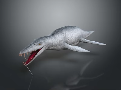 Realistic Prehistoric Ichthyosaur Marine Reptile 3D Model With Open Mouth Sharp Teeth 3d model
