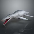 Realistic Prehistoric Ichthyosaur Marine Reptile 3D Model With Open Mouth Sharp Teeth 3d model