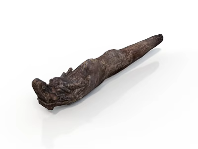 Brown Plant Root With Natural Texture And Organic Shape Displayed On White Background 3d model