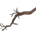 Decorative Dry Tree Branches With Natural Wooden Texture And Twisted Shapes