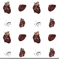 Detailed 3D Heart Models Displaying Anatomical Structures And Vessels From Multiple Angles