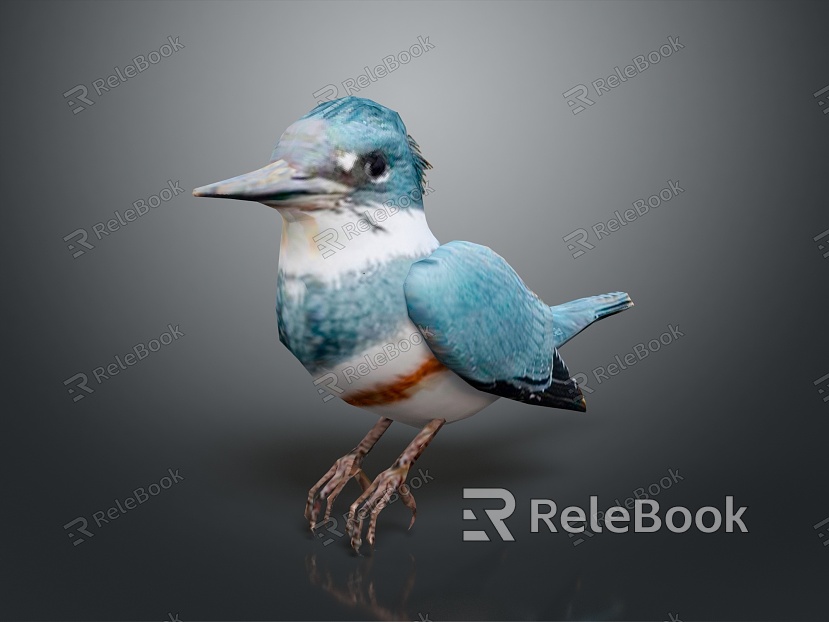 bird bird bird bird game animal cartoon animal animal realistic animal model