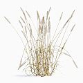 Modern hay 3d model