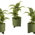 Modern Indoor Small Green Plant Potted Plant Sanwei Kwai Green Plant Potted Plant Creative Flower Pot Plant Potted Green Small Fresh Potted Plant 3d model