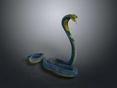 Blue and Yellow Snake with Coiled Body Raised Head and Flicking Tongue on Dark Background 3d model