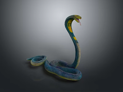 Blue and Yellow Snake with Coiled Body Raised Head and Flicking Tongue on Dark Background 3d model