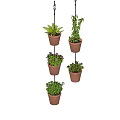 Stylish Hanging Basket Plants with Brown Pots and Lush Green Foliage for Home Decor