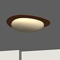 Modern Middle Aged Ceiling Lamp 3d model