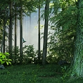 modern forest 3d model