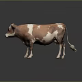 Brown And White Cow Standing On Gray Background With Reflection 3d model