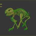 Detailed Animal Skeleton 3D Model Showing Bone Structure And Organ Anatomy