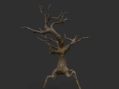 Isolated Leafless Tree With Twisted Branches And Dry Trunk On Dark Background 3d model