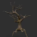 Isolated Leafless Tree With Twisted Branches And Dry Trunk On Dark Background