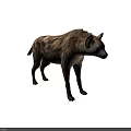 Spotted Hyena With Brown Spotted Coat Standing In Natural Savanna Habitat