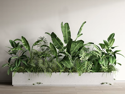 Potted Plants in White Rectangular Planter with Various Tropical Green Leaves 3d model