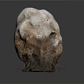 Wood Stone Decorative 3D Model With Natural Texture Holes And Root Like Fibers