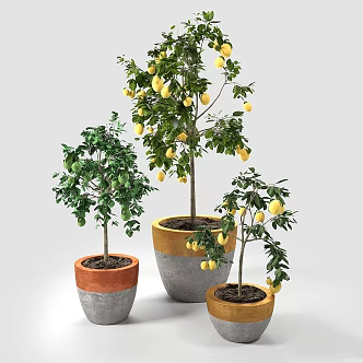 Modern gardening sketch gardening sketch 3d model