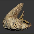 Intricately Carved Ivory Sculpture With Curved Shape Detailed Floral Patterns And Decorative Binding Accents