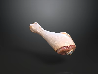 High Quality Fresh Raw Chicken Leg Meat for Delicious Cooking Recipes 3d model